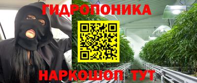 spice Севастополь