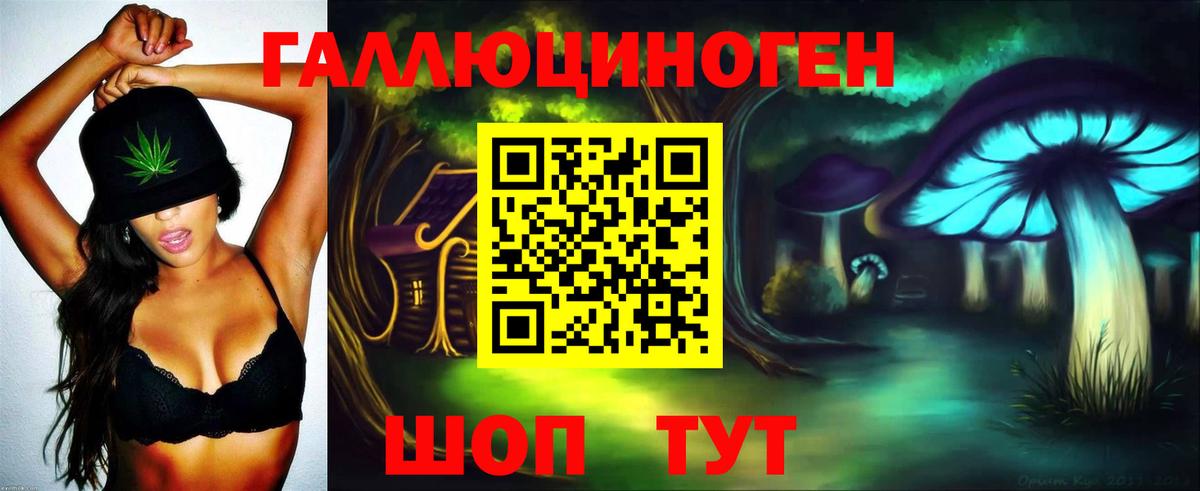 Алейск  Псилоцибиновые грибы Cubensis  Вход с VPN 